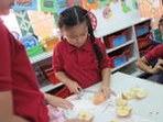 Claudia-project-apple-1